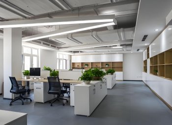 什么是软件作坊？